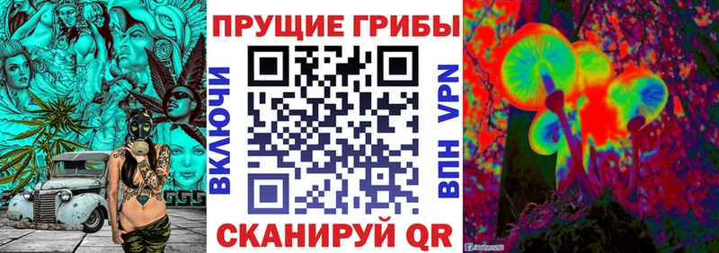 купить  сайты  Снежногорск  Псилоцибиновые грибы мицелий 